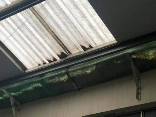 重拳出击 潍坊这13家单位被依法处罚